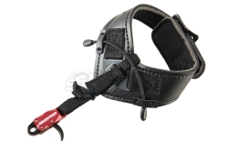 Представяне на Avalon Classic Pro