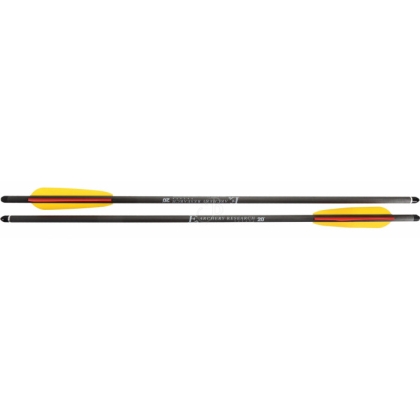 Комплект стрели с 20 инча карбонов арбалет EK Archery