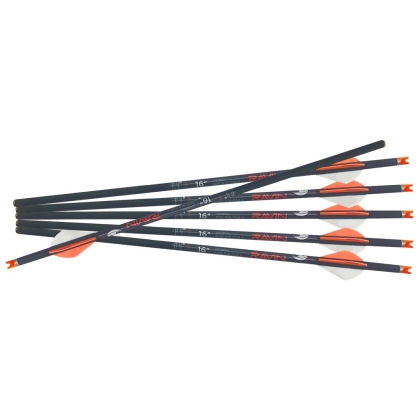 Set Săgeți Ravin R18 Carbon .003, 16inch, 6 Bucăți