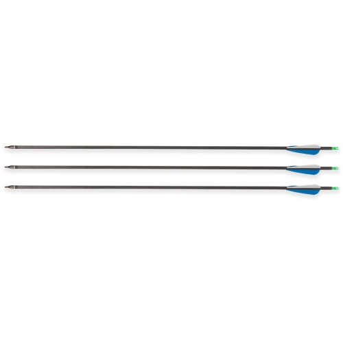 Set Complet Arc Compound Tineret M2, 10-40 lbs, Black, Accesorii Incluse